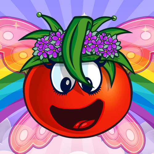 Fairy Tomato